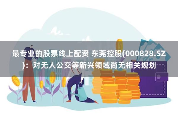 最专业的股票线上配资 东莞控股(000828.SZ)：对无人公交等新兴领域尚无相关规划