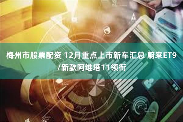 梅州市股票配资 12月重点上市新车汇总 蔚来ET9/新款阿维塔11领衔