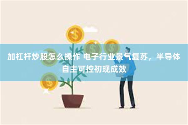 加杠杆炒股怎么操作 电子行业景气复苏，半导体自主可控初现成效