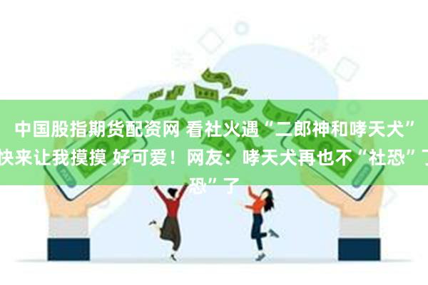 中国股指期货配资网 看社火遇“二郎神和哮天犬” 快来让我摸摸 好可爱！网友：哮天犬再也不“社恐”了