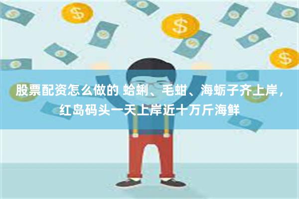 股票配资怎么做的 蛤蜊、毛蚶、海蛎子齐上岸，红岛码头一天上岸近十万斤海鲜