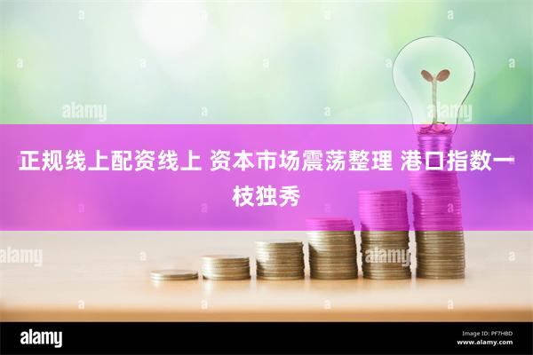 正规线上配资线上 资本市场震荡整理 港口指数一枝独秀