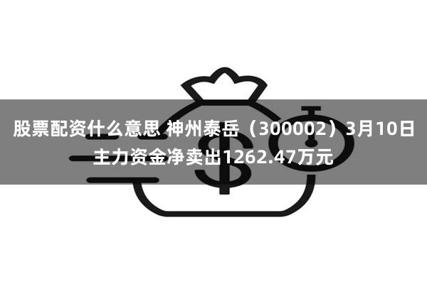 股票配资什么意思 神州泰岳（300002）3月10日主力资金净卖出1262.47万元