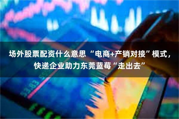 场外股票配资什么意思 “电商+产销对接”模式，快递企业助力东莞蓝莓“走出去”