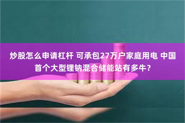 炒股怎么申请杠杆 可承包27万户家庭用电 中国首个大型锂钠混合储能站有多牛？