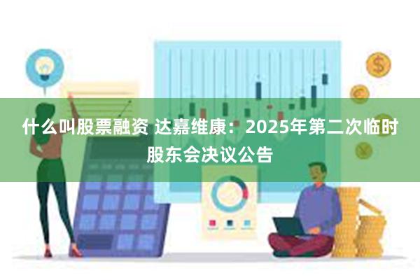 什么叫股票融资 达嘉维康：2025年第二次临时股东会决议公告