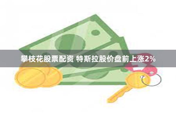 攀枝花股票配资 特斯拉股价盘前上涨2%