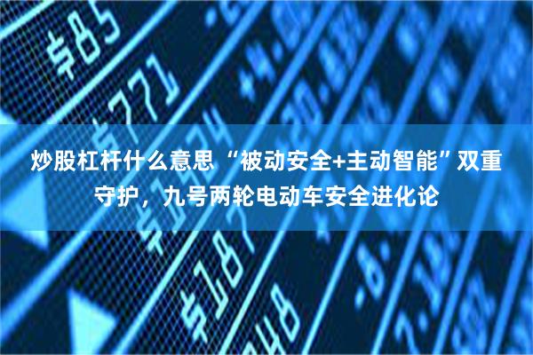 炒股杠杆什么意思 “被动安全+主动智能”双重守护，九号两轮电动车安全进化论