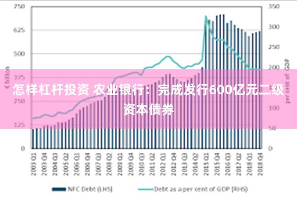 怎样杠杆投资 农业银行：完成发行600亿元二级资本债券