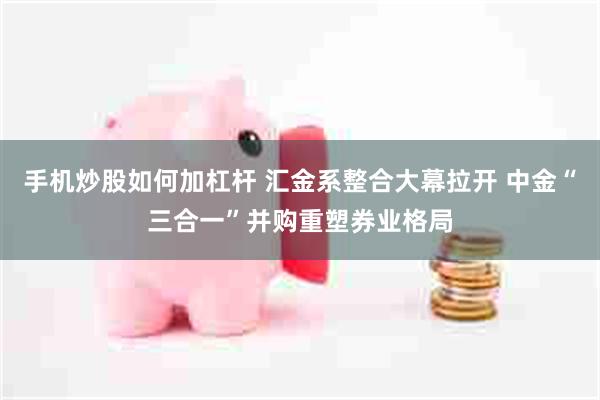 手机炒股如何加杠杆 汇金系整合大幕拉开 中金“三合一”并购重塑券业格局