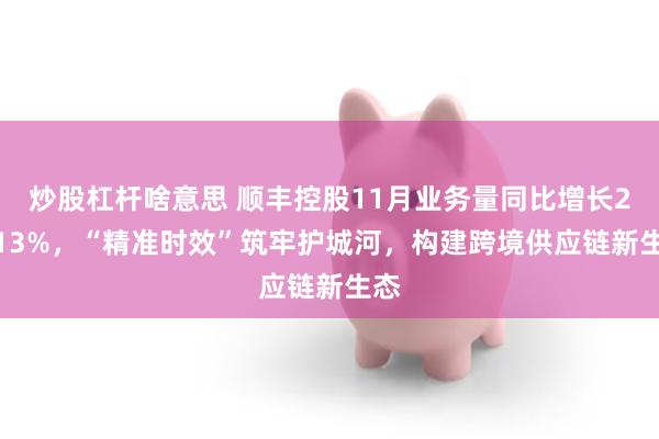 炒股杠杆啥意思 顺丰控股11月业务量同比增长20.13%，“精准时效”筑牢护城河，构建跨境供应链新生态