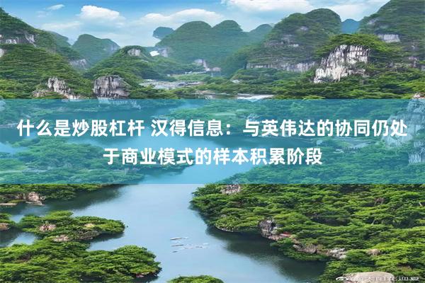 什么是炒股杠杆 汉得信息：与英伟达的协同仍处于商业模式的样本积累阶段