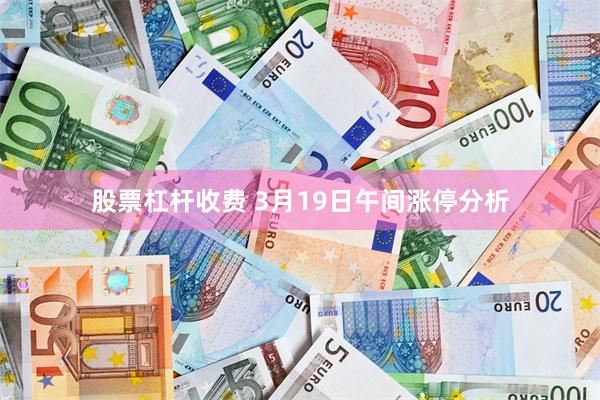 股票杠杆收费 3月19日午间涨停分析