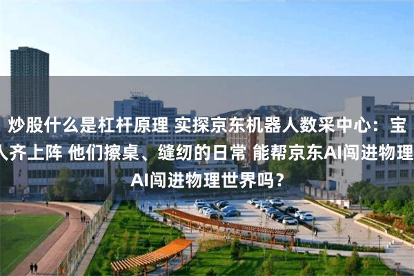 炒股什么是杠杆原理 实探京东机器人数采中心：宝妈、工人齐上阵 他们擦桌、缝纫的日常 能帮京东AI闯进物理世界吗？