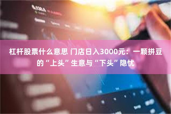 杠杆股票什么意思 门店日入3000元：一颗拼豆的“上头”生意与“下头”隐忧
