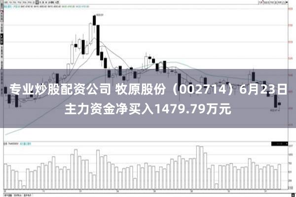 专业炒股配资公司 牧原股份（002714）6月23日主力资金净买入1479.79万元