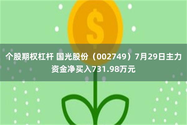 个股期权杠杆 国光股份（002749）7月29日主力资金净买入731.98万元