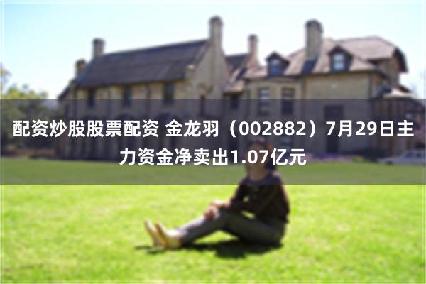 配资炒股股票配资 金龙羽（002882）7月29日主力资金净卖出1.07亿元