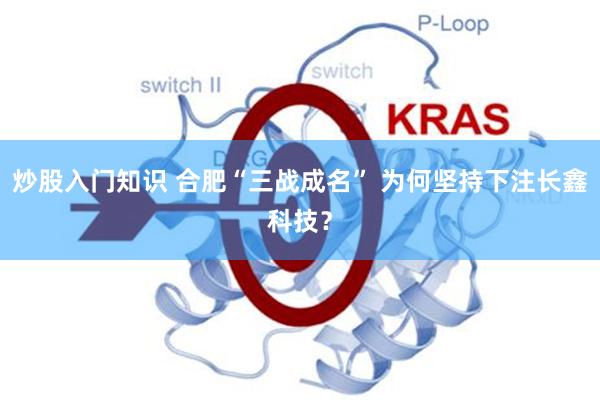 炒股入门知识 合肥“三战成名” 为何坚持下注长鑫科技?