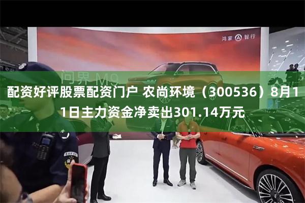 配资好评股票配资门户 农尚环境（300536）8月11日主力资金净卖出301.14万元