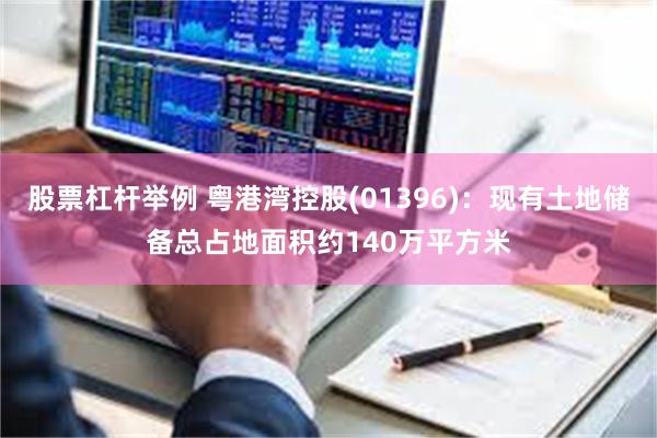 股票杠杆举例 粤港湾控股(01396)：现有土地储备总占地面积约140万平方米