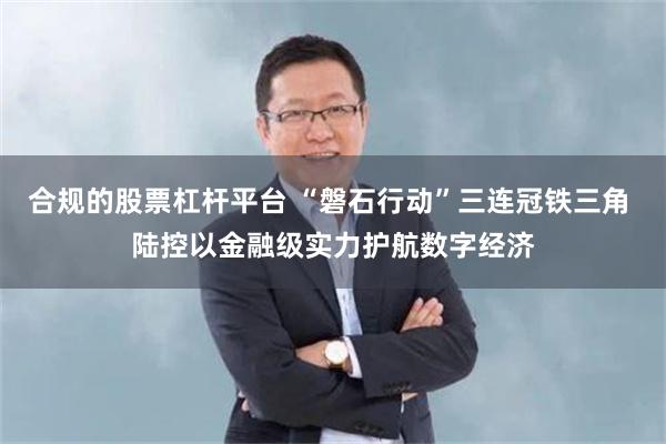 合规的股票杠杆平台 “磐石行动”三连冠铁三角 陆控以金融级实力护航数字经济