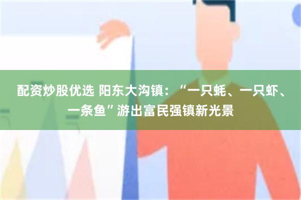 配资炒股优选 阳东大沟镇：“一只蚝、一只虾、一条鱼”游出富民强镇新光景