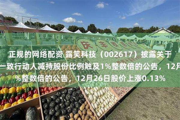 正规的网络配资 露笑科技(002617)披露关于持股5%以上股东及其一致行动人减持股份比例触及1%整数倍的公告,12月26日股价上涨0.13%