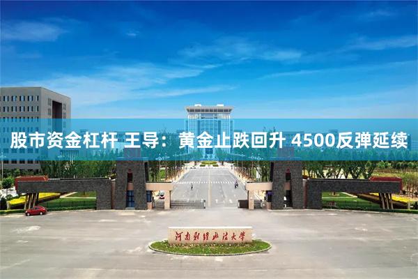 股市资金杠杆 王导：黄金止跌回升 4500反弹延续