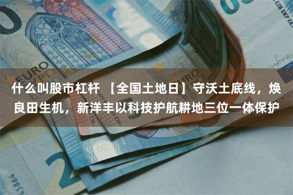 什么叫股市杠杆 【全国土地日】守沃土底线，焕良田生机，新洋丰以科技护航耕地三位一体保护