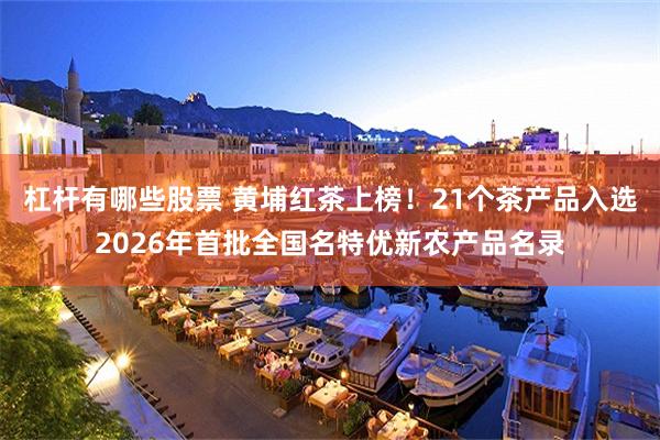 杠杆有哪些股票 黄埔红茶上榜！21个茶产品入选2026年首批全国名特优新农产品名录