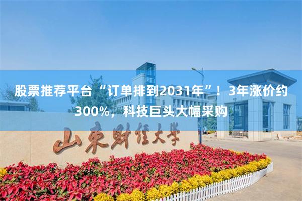 股票推荐平台 “订单排到2031年”！3年涨价约300%，科技巨头大幅采购