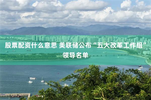 股票配资什么意思 美联储公布“五大改革工作组”领导名单