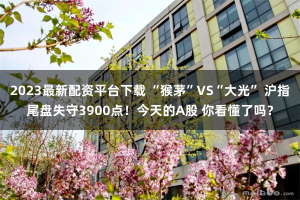2023最新配资平台下载 “猴茅”VS“大光” 沪指尾盘失守3900点!今天的A股 你看懂了吗?
