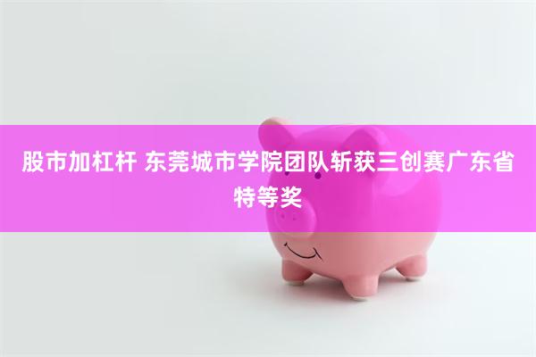 股市加杠杆 东莞城市学院团队斩获三创赛广东省特等奖