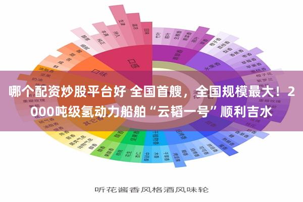 哪个配资炒股平台好 全国首艘，全国规模最大！2000吨级氢动力船舶“云韬一号”顺利吉水