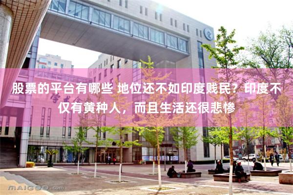 股票的平台有哪些 地位还不如印度贱民？印度不仅有黄种人，而且生活还很悲惨