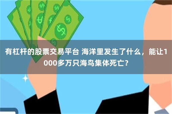 有杠杆的股票交易平台 海洋里发生了什么，能让1000多万只海鸟集体死亡？