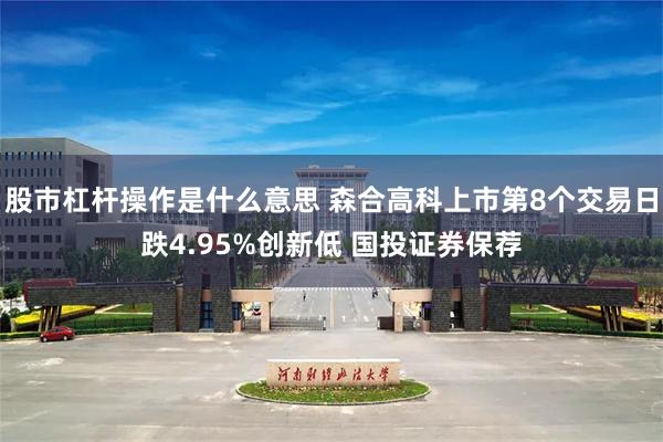 股市杠杆操作是什么意思 森合高科上市第8个交易日跌4.95%创新低 国投证券保荐
