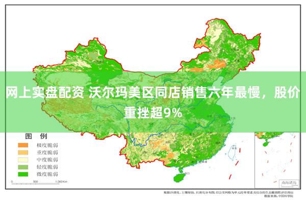 网上实盘配资 沃尔玛美区同店销售六年最慢,股价重挫超9%