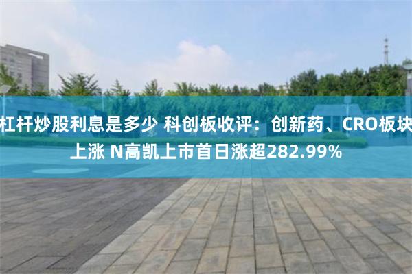 杠杆炒股利息是多少 科创板收评：创新药、CRO板块上涨 N高凯上市首日涨超282.99%