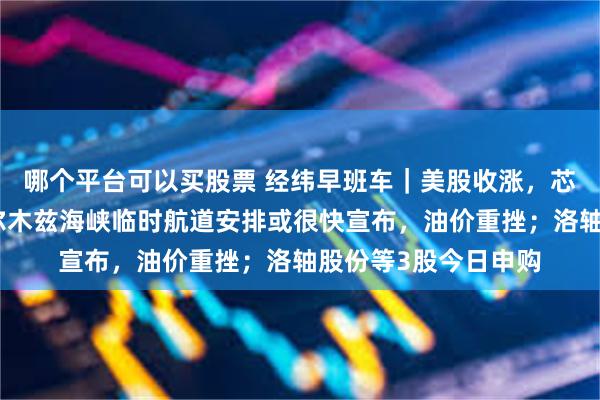 哪个平台可以买股票 经纬早班车｜美股收涨，芯片股多数上涨；霍尔木兹海峡临时航道安排或很快宣布，油价重挫；洛轴股份等3股今日申购