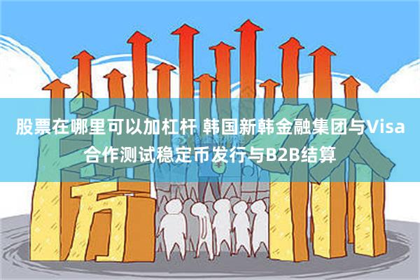 股票在哪里可以加杠杆 韩国新韩金融集团与Visa合作测试稳定币发行与B2B结算