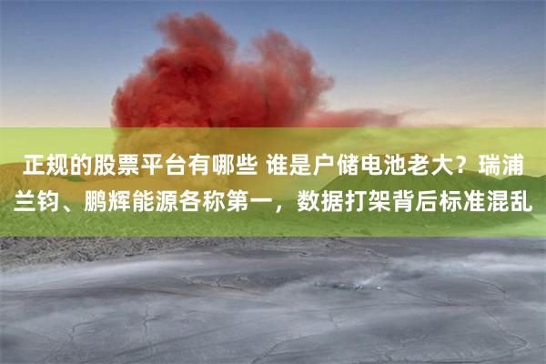 正规的股票平台有哪些 谁是户储电池老大？瑞浦兰钧、鹏辉能源各称第一，数据打架背后标准混乱
