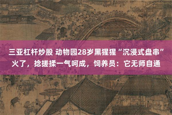 三亚杠杆炒股 动物园28岁黑猩猩“沉浸式盘串”火了，捻搓揉一气呵成，饲养员：它无师自通