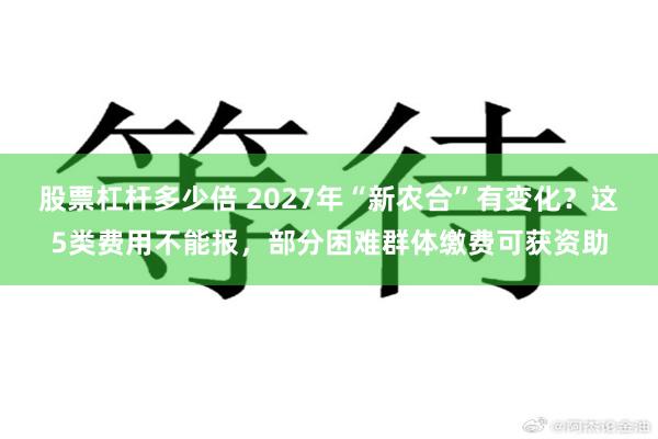 股票杠杆多少倍 2027年“新农合”有变化？这5类费用不能报，部分困难群体缴费可获资助