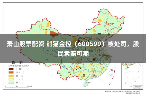 萧山股票配资 熊猫金控（600599）被处罚，股民索赔可期
