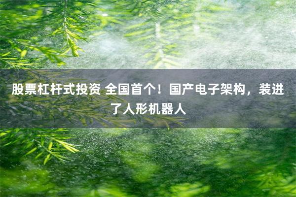 股票杠杆式投资 全国首个！国产电子架构，装进了人形机器人