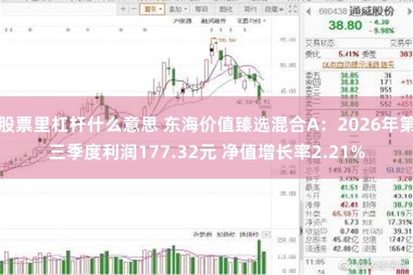 股票里杠杆什么意思 东海价值臻选混合A：2026年第三季度利润177.32元 净值增长率2.21%